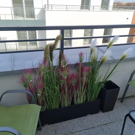 Pitter Apartament 아파트 *