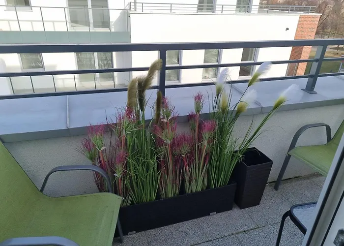 Pitter Apartament Διαμέρισμα *